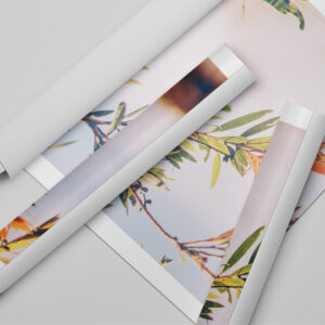 Tessuto canvas